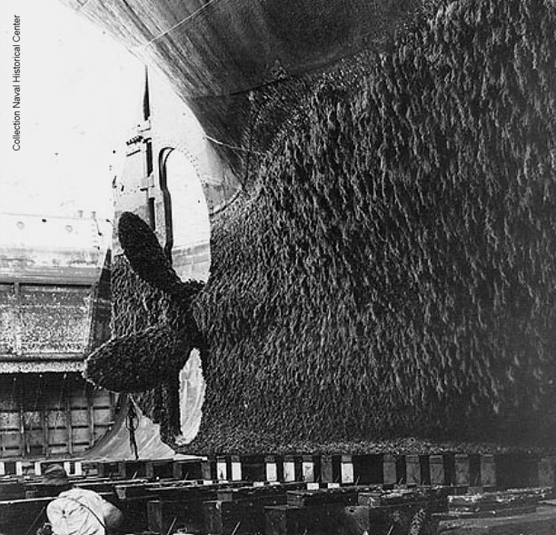 LIEBENFELS (1) Unterwasserschiff.